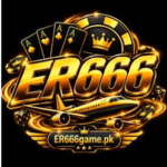 ER666 Game
